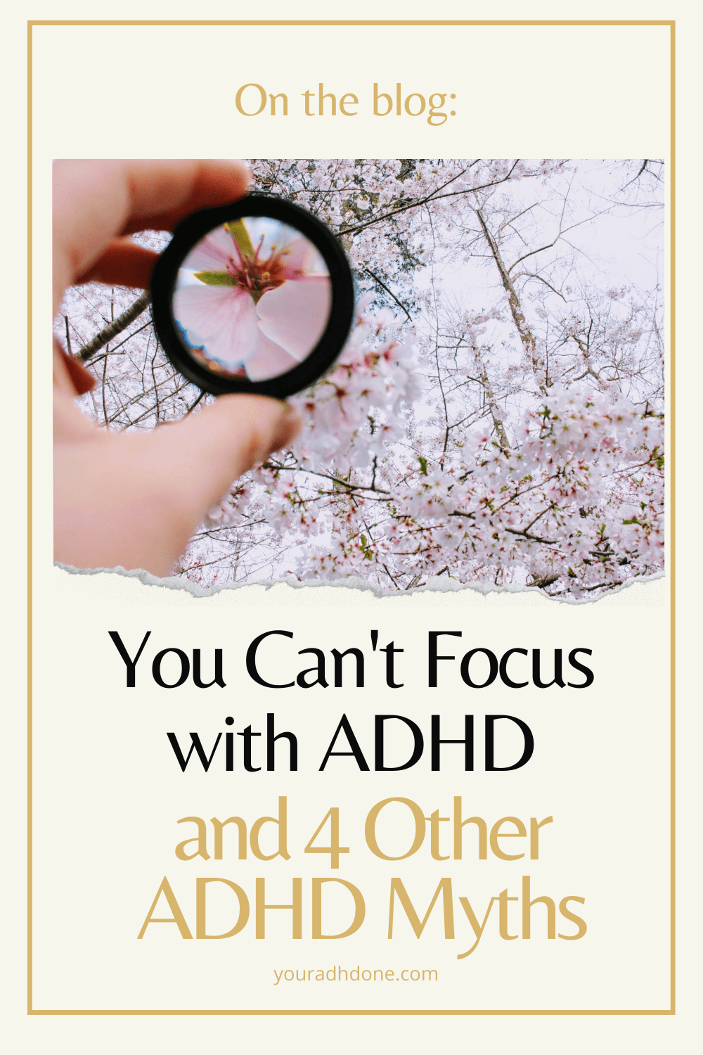 5 ADHD Myths That We Need To Stop Believing | AdHDONE.