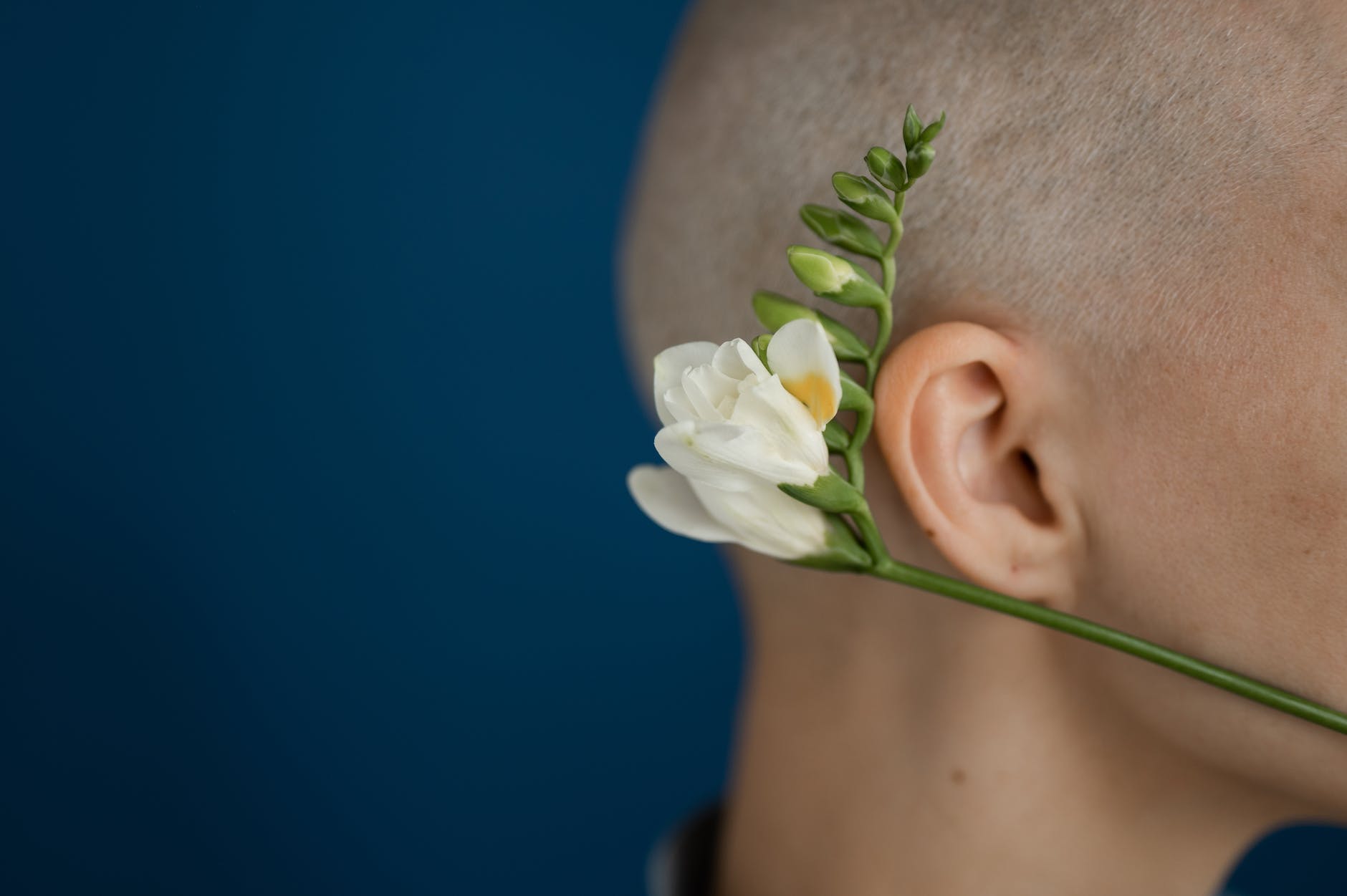 crop patient with blooming freesia on blue background